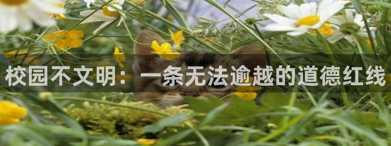 哔咔漫画安全下载：校园不文明：一条无法逾越的道德红线