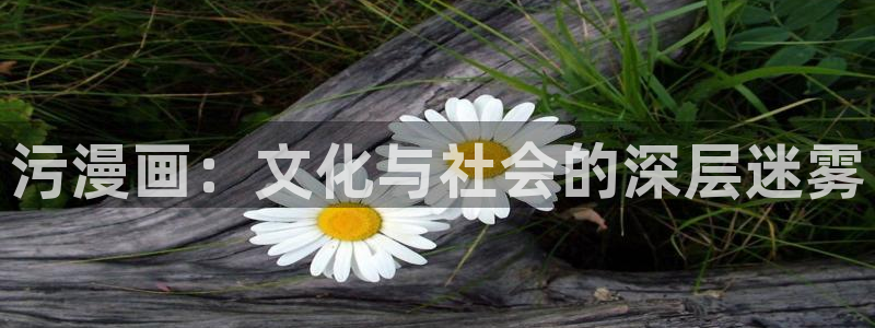 picacg哔咔漫画.apk：污漫画：文化与社会的深层迷雾