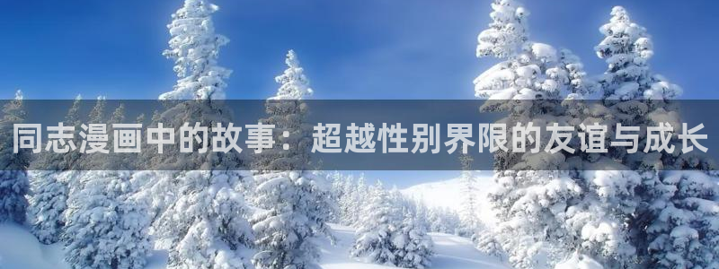 哔咔漫画漫画官网：同志漫画中的故事：超越性别界限的友谊与成长