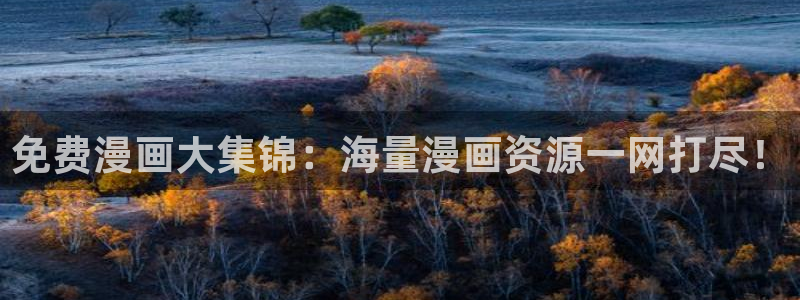 哔咔漫画加速器：免费漫画大集锦：海量漫画资源一网打尽！