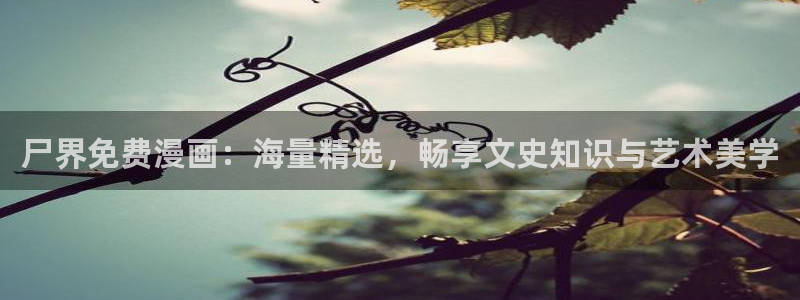 哔咔漫画现在时间：尸界免费漫画：海量精选，畅享文史知识与艺术美学